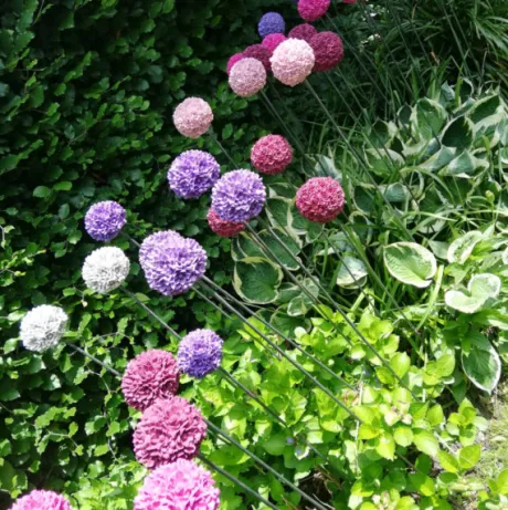 Silikon - Gießform - Blumenkugel - Allium/Zierlauch - Blüte - vielfältig nutzbar